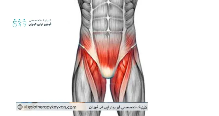 علت های درد کشاله ران 1 درد کشاله ران